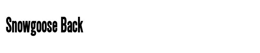 SimpleTypeCondensed Bold