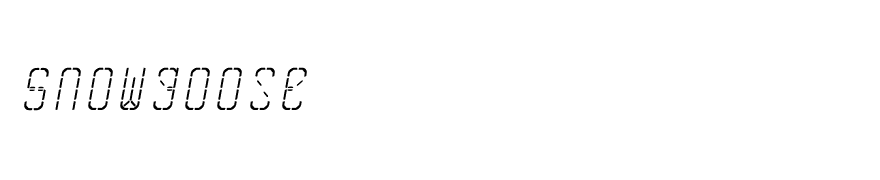 SkreanRegular Oblique