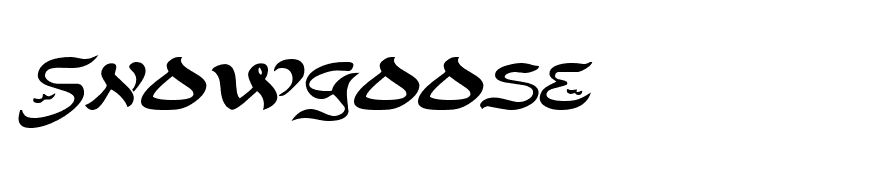 SolomonExtended Italic