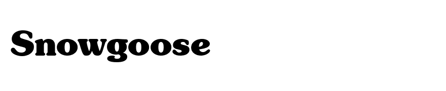 Souvenir Black SSi Bold