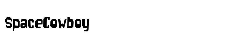 SpaceCowboy