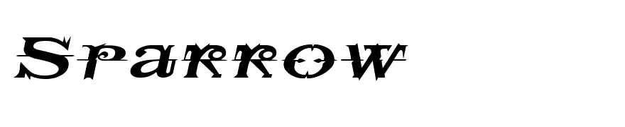 SpaceIveyExtended Italic