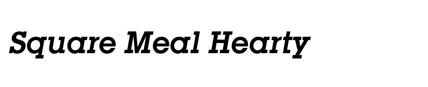 SquareSerif Bold Italic