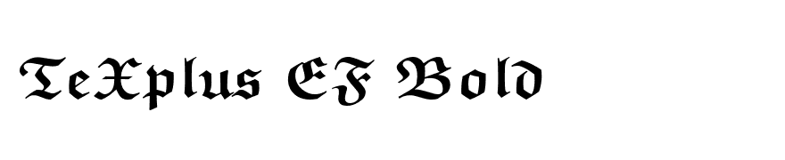TeXplus EF Bold
