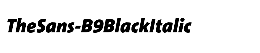 TheSans-B9BlackItalic