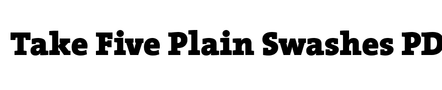 TheSerif Black Plain