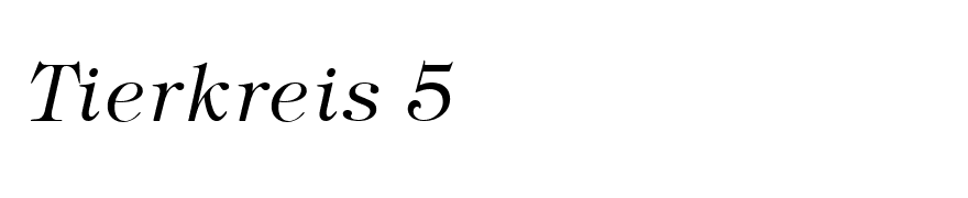 Tiffany Light Italic