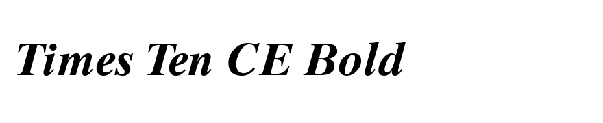 Times Ten Cyrillic Bold Inclined
