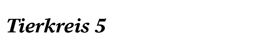 TimesEuropa-Bold Italic