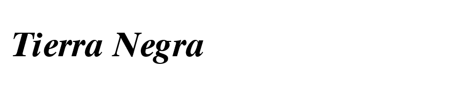 TimesTenCyrillic-Bold Inclined