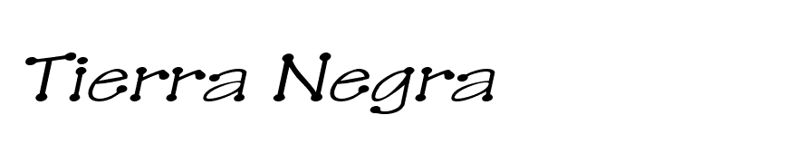 TinkerToyExtended Oblique