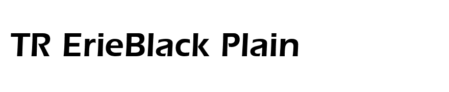 TR ErieBlack Plain