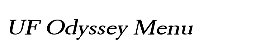 Transit 2 Wide BoldItalic