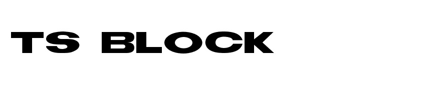 TS Block