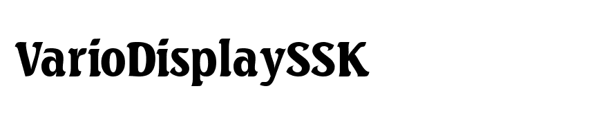 VarioDisplaySSK