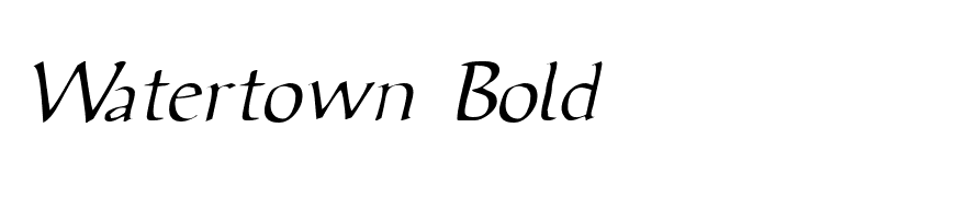 ViciSSK Italic