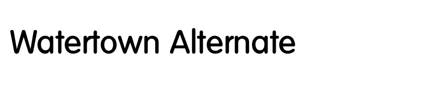 Volkswagen-Serial-Medium-Regular