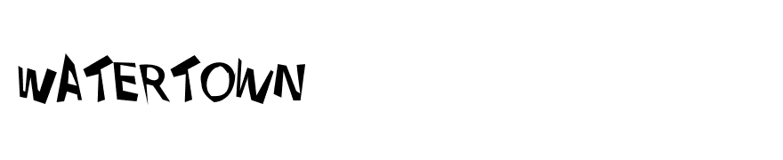 VTC Dizplaced Regular