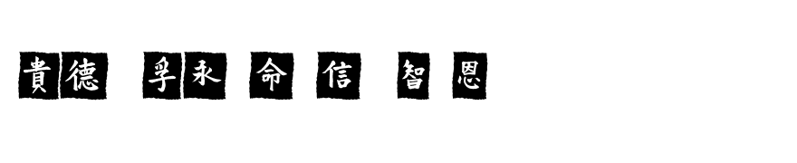 VTMeiOrnamentsOnBlack