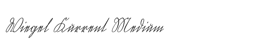 Wiegel Kurrent Medium