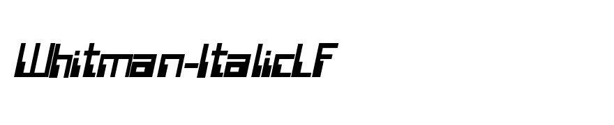 WireTransferSSK BoldItalic