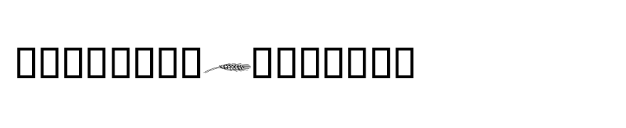 WoodtypeOrnaments2 Two